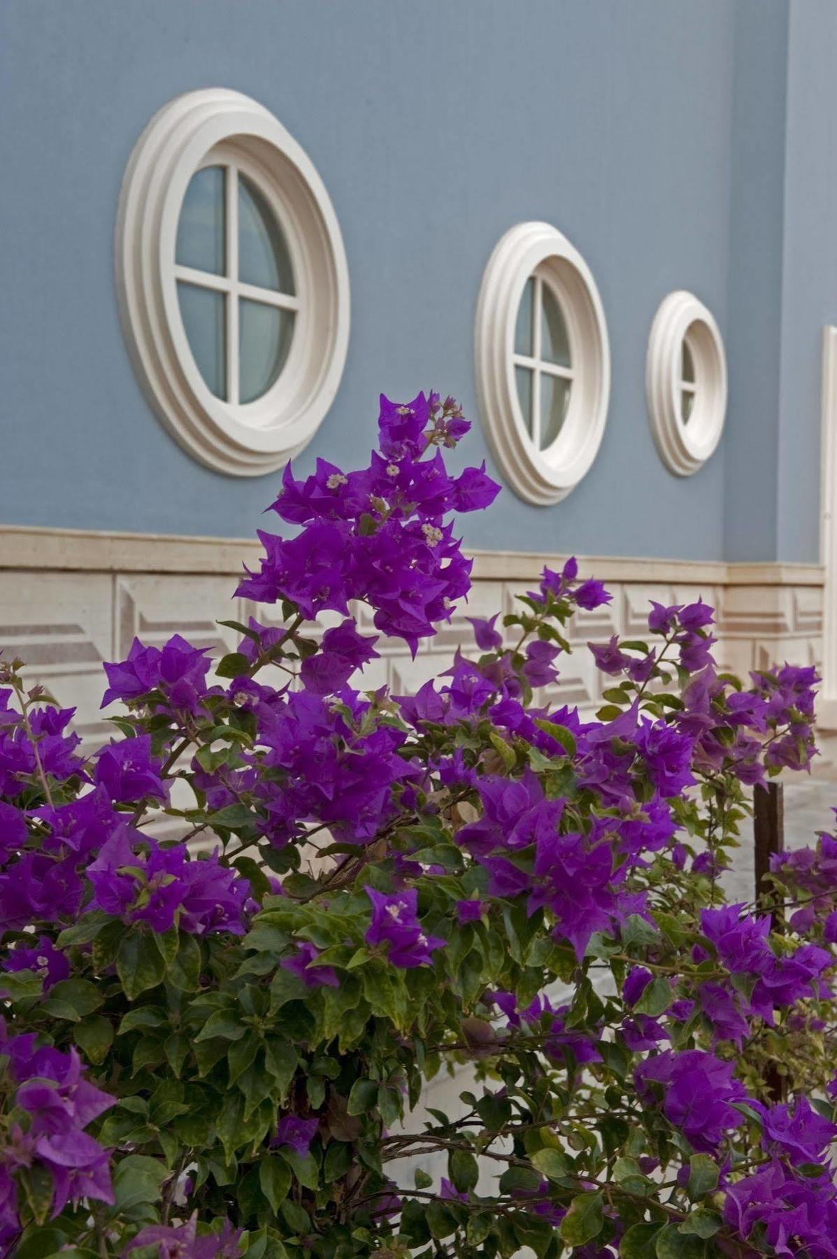La Maison Bleue El Gouna (Adults Only) ฮูร์กาดา ภายนอก รูปภาพ
